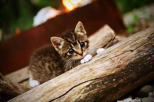 Kaiyun(中国)开云-数字化足球比赛监控系统实现智能分析，确保比赛公正透明，足现场足球实时大数据信息采集设备