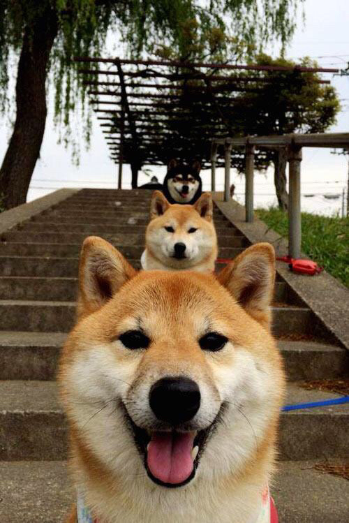 数字化足球训练平台实现智能评估，提升青少年技能水平，教智能足球