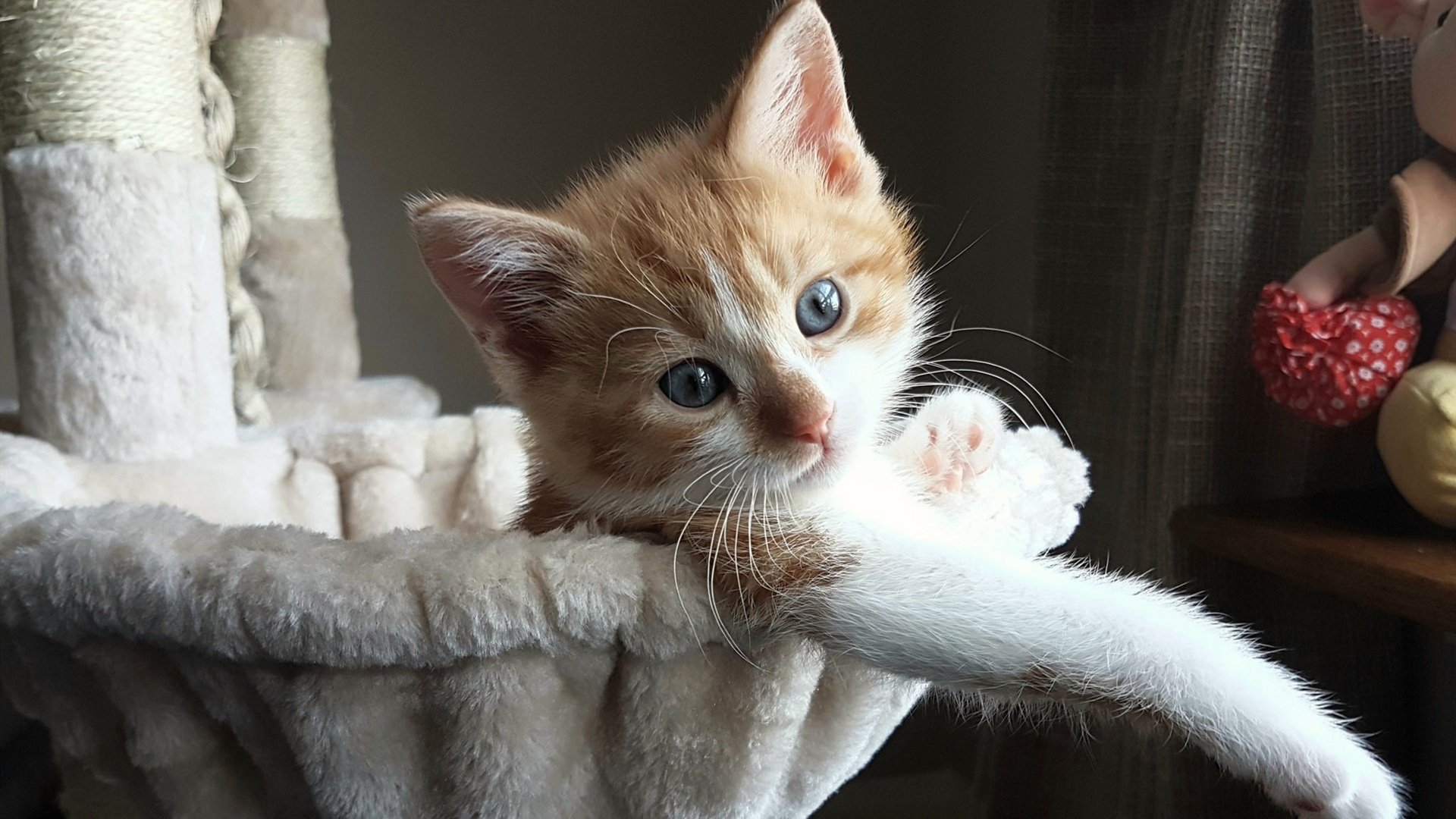 新闻中心公布运动员电子档案管理升级结果，运动员档案模板