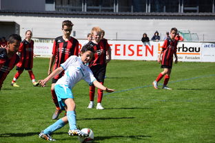 开云官方-未来足球场馆实现“碳中和”目标，绿色科技应用成果显著