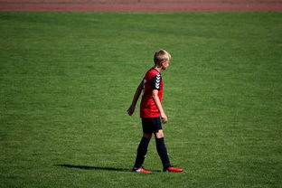 kaiyun.com-未来足球场馆将融合智能照明和环境监测系统，绿色科技引领行业