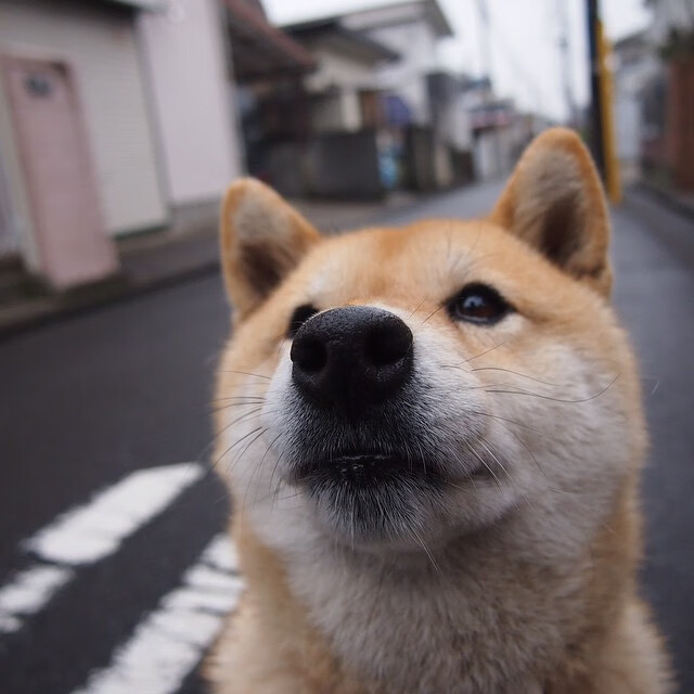 极限运动挑战精神分享，极限运动8大挑战