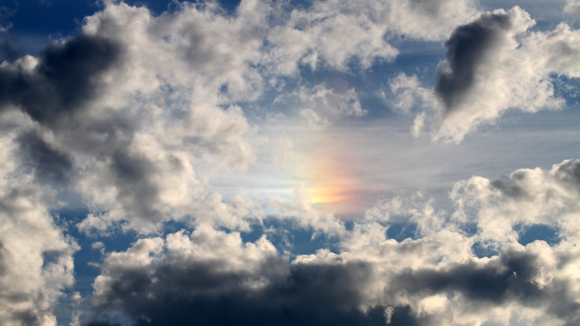 格雷琴·沃尔什决赛起跳迅猛领先，格雷沃尔特