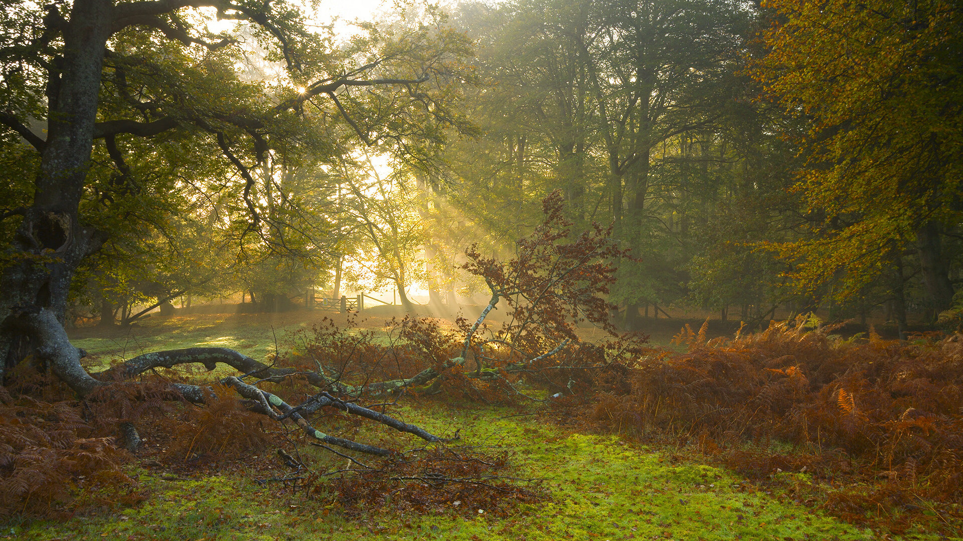 KAIYUN 中国大陆-格鲁吉亚女篮在国际比赛中不断突破，实力突飞猛进