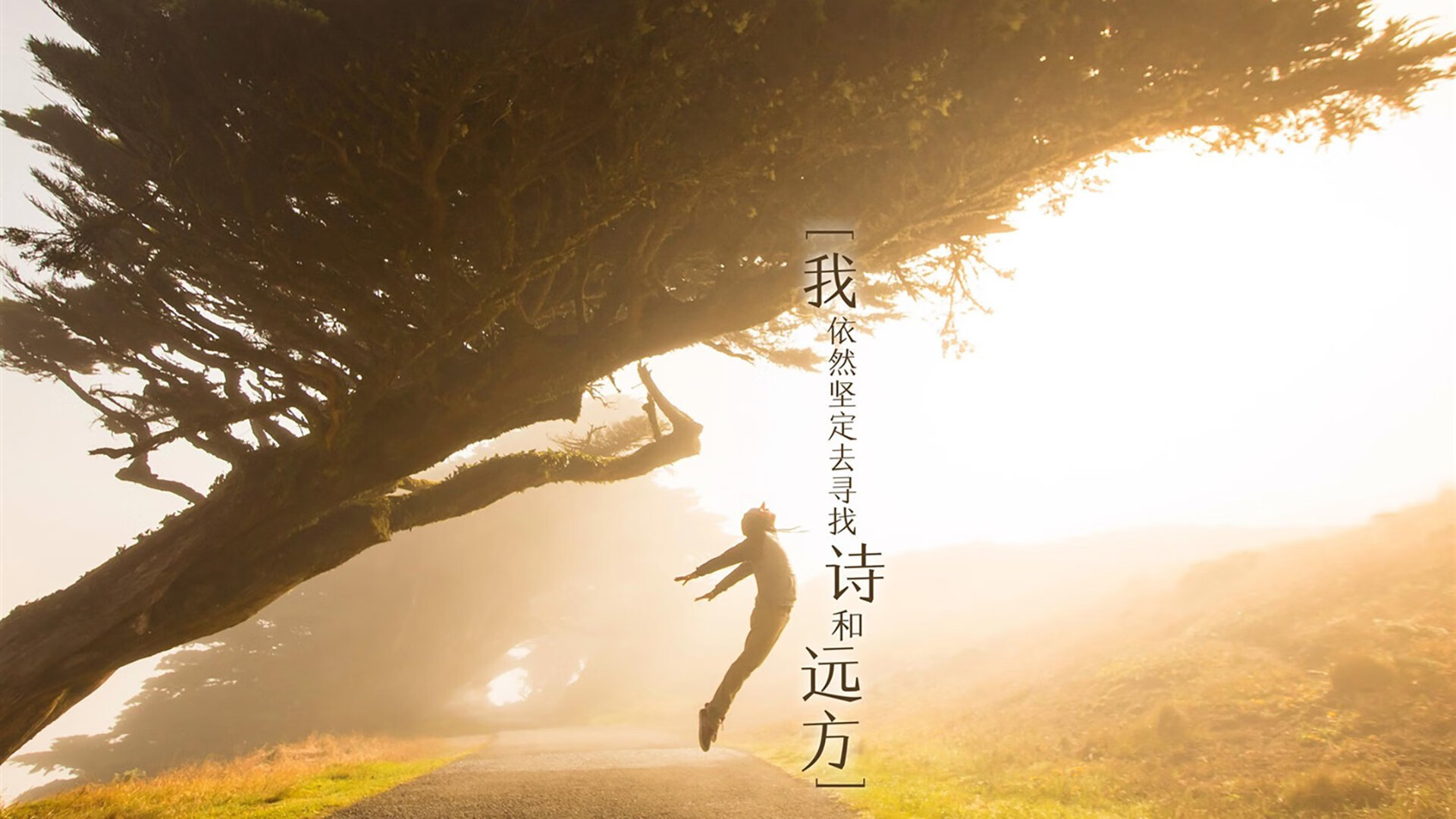 kaiyun官方网站-欧洲杯历史上最具影响力的比赛，欧洲杯之最