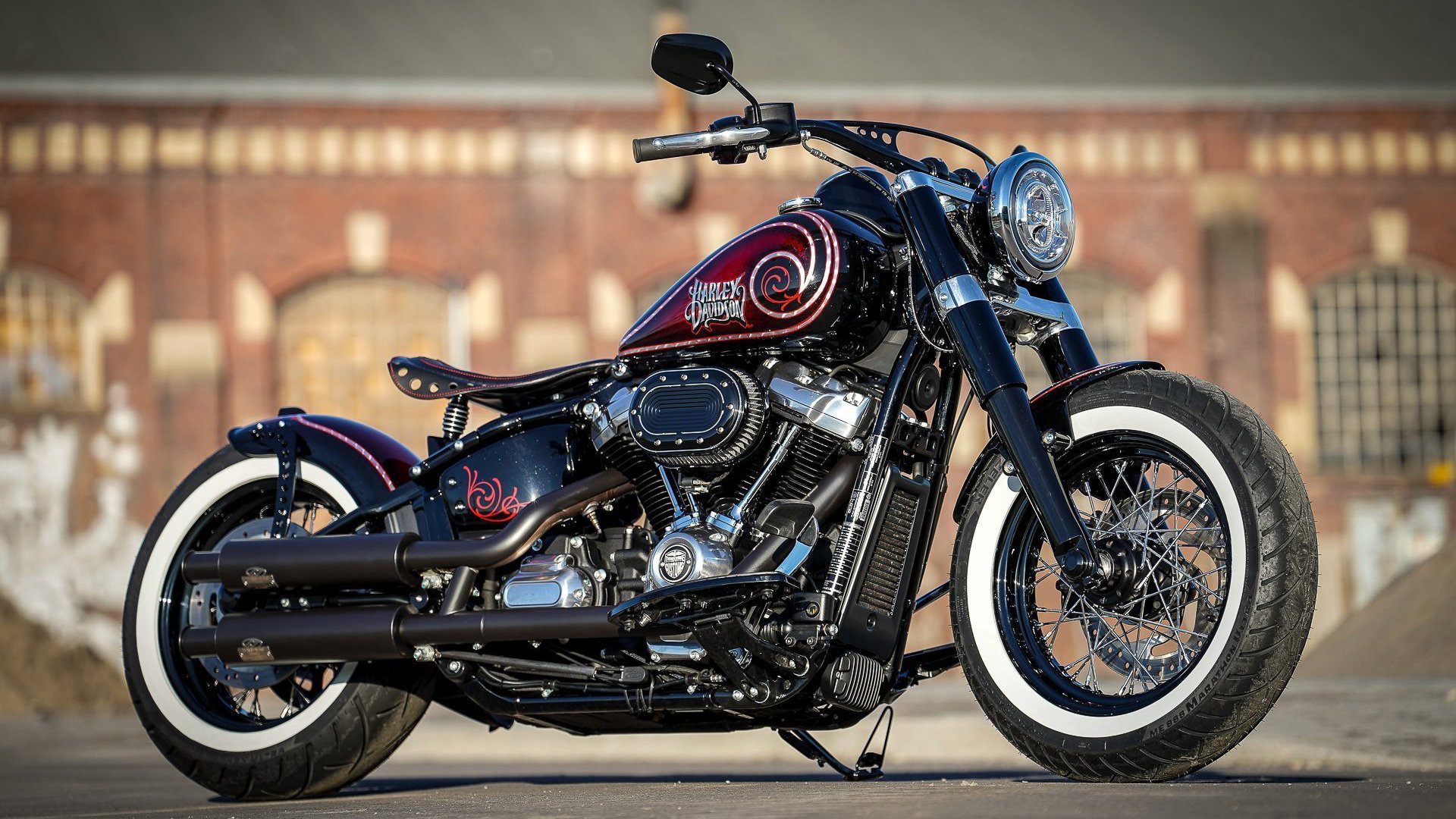 比利时仰泳强将冲击奖牌,比利时仰泳强将冲击奖牌视频