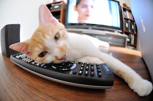 开云体育APP下载-水球淘汰赛韩国顽强逆转，水球淘汰赛韩国顽强逆转