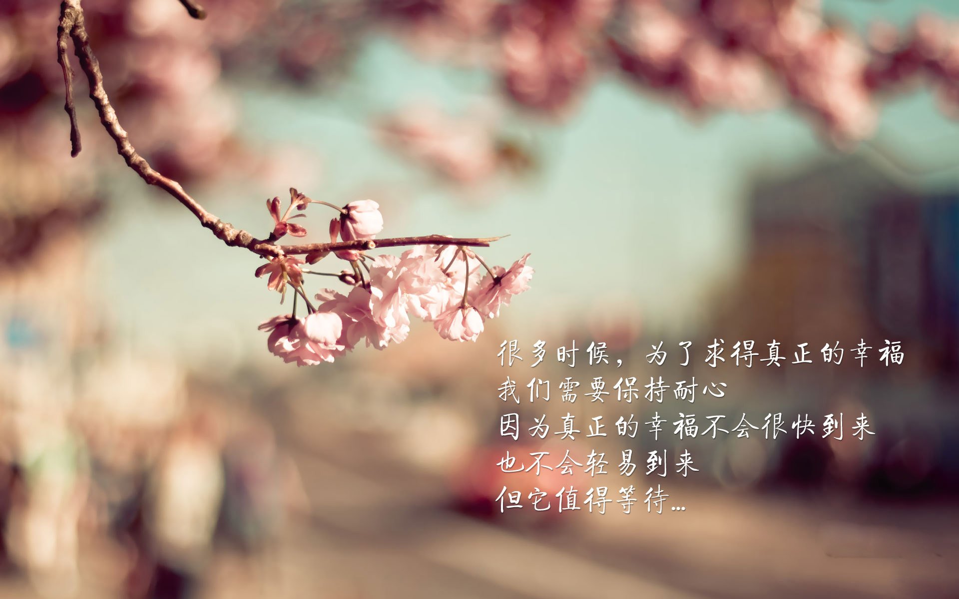 法甲明星闪耀:天赋与努力的完美结合,法甲足球明星