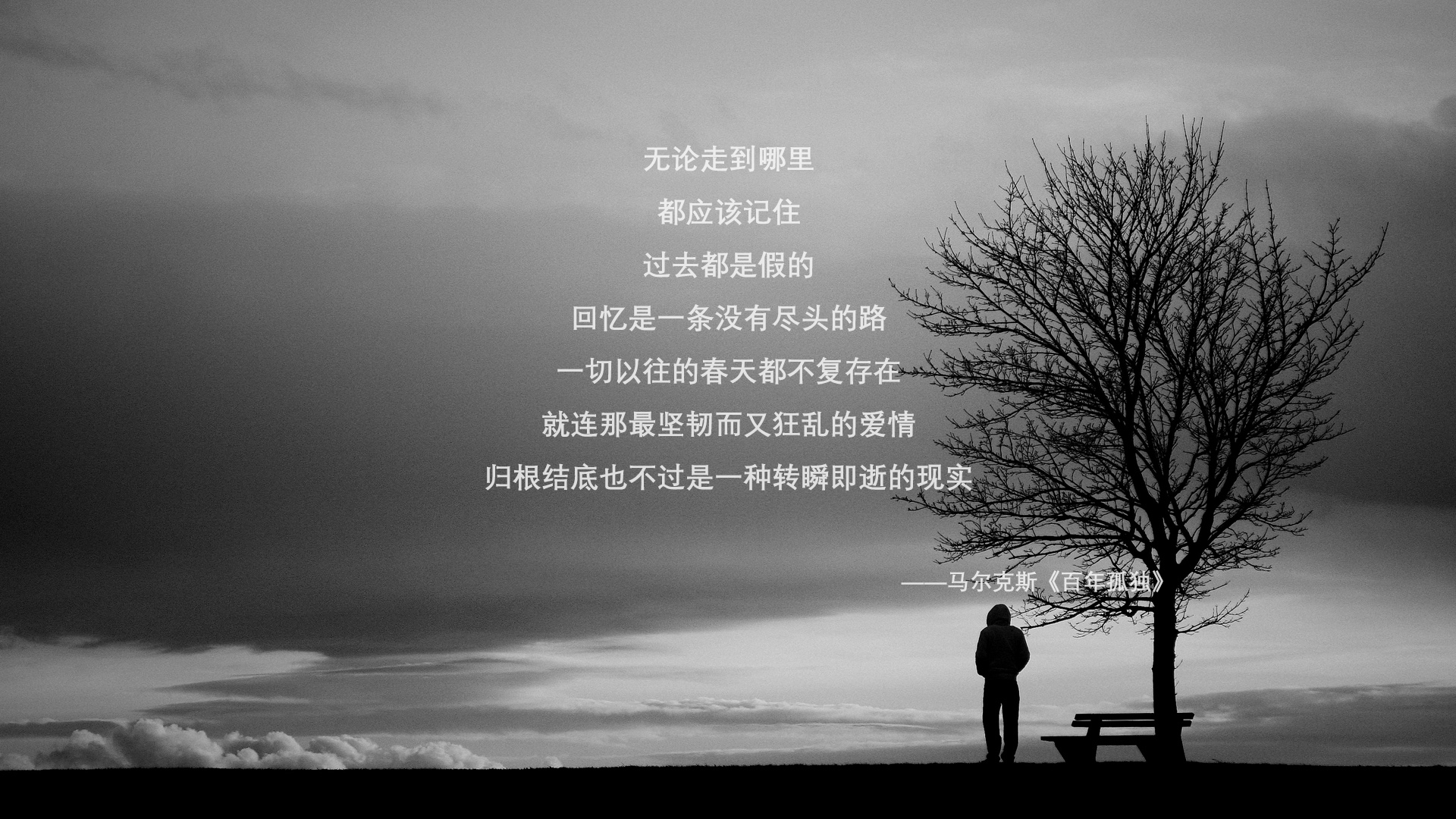 法甲未来之星:新秀崛起,前途无限!,法甲新赛季宣传片