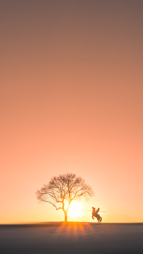 法甲青训崛起:未来巨星不断涌现!,法甲介绍