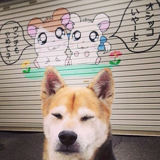 混合泳赛事吉尔吉斯斯坦团队配合默契,吉尔吉斯斯坦选手