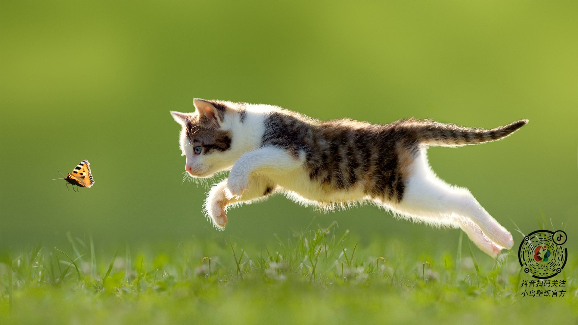 kaiyun体育综合-渡边一平蛙泳实力引领赛场风潮，渡边一系