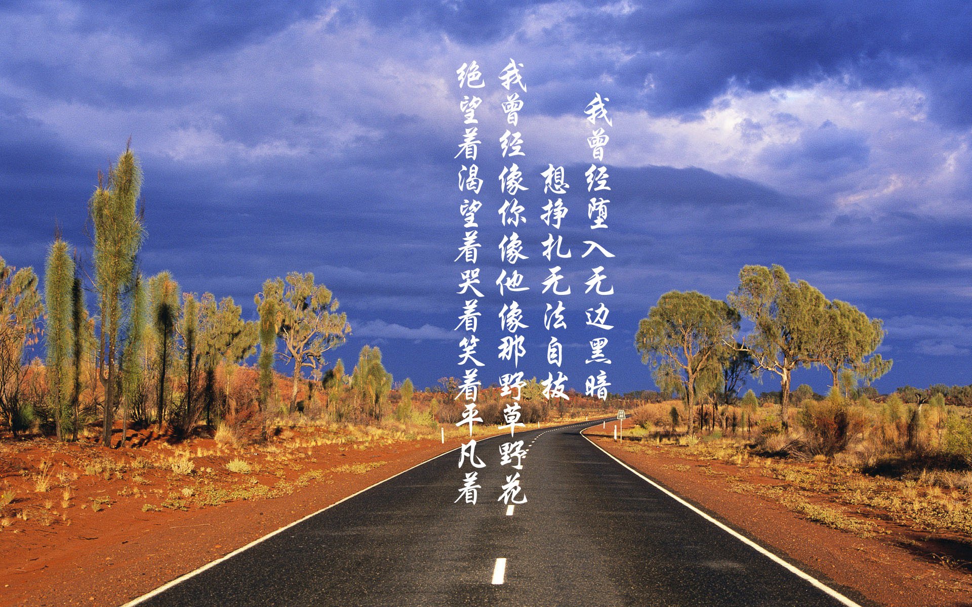 渡边一平赛后分享备战心得,渡边将百度百科