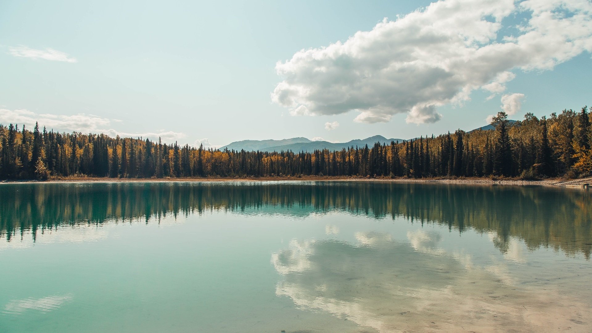 温斯坦决赛数据解析:前半程控制得当,温斯坦公司