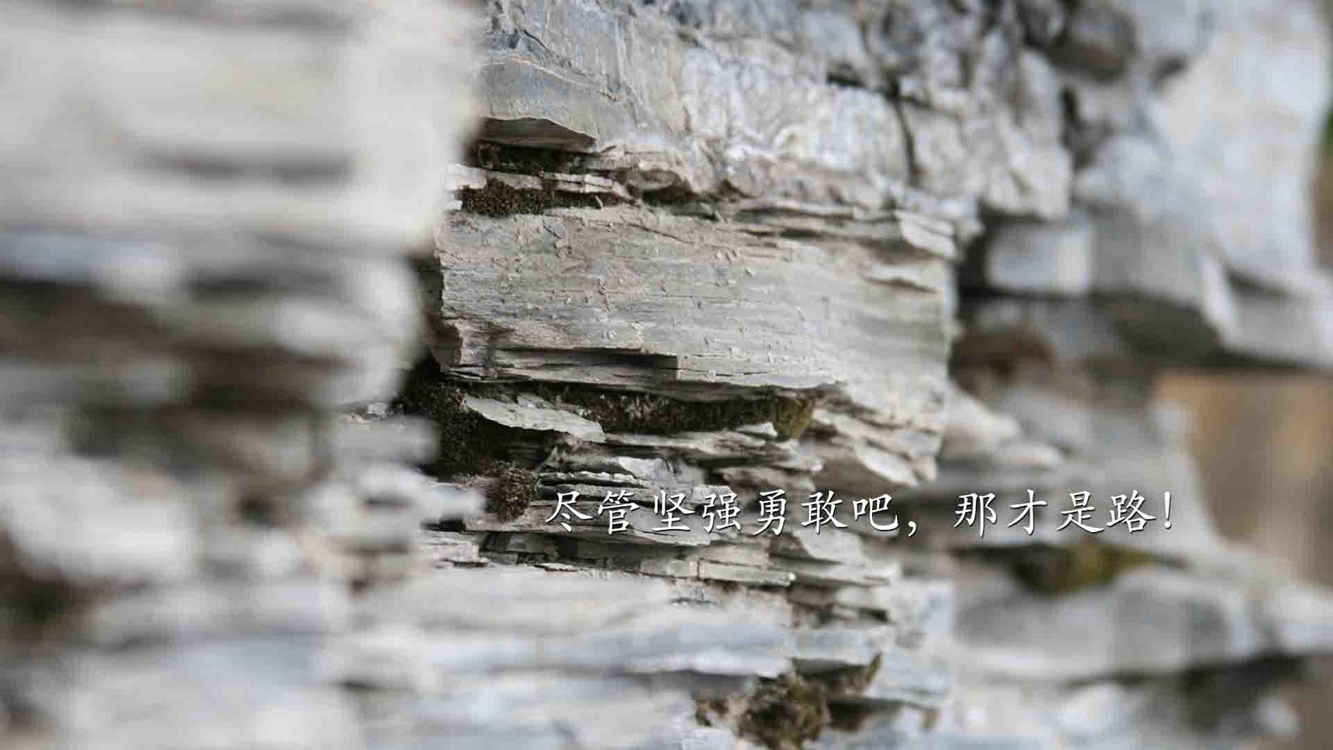 游泳技术动作与国际一流水平接轨，游泳技术视频教程