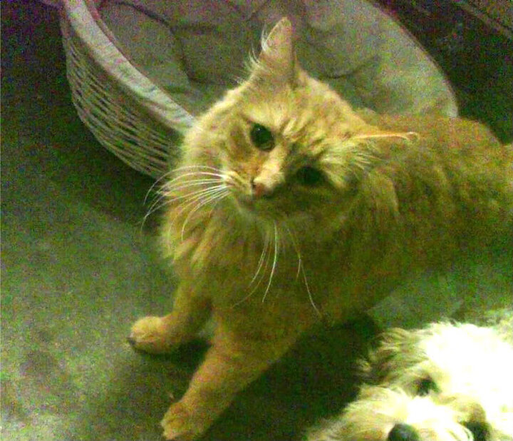 kaiyun体育app-火箭三分线外手感火热连续命中关键球，火箭连续三分不中