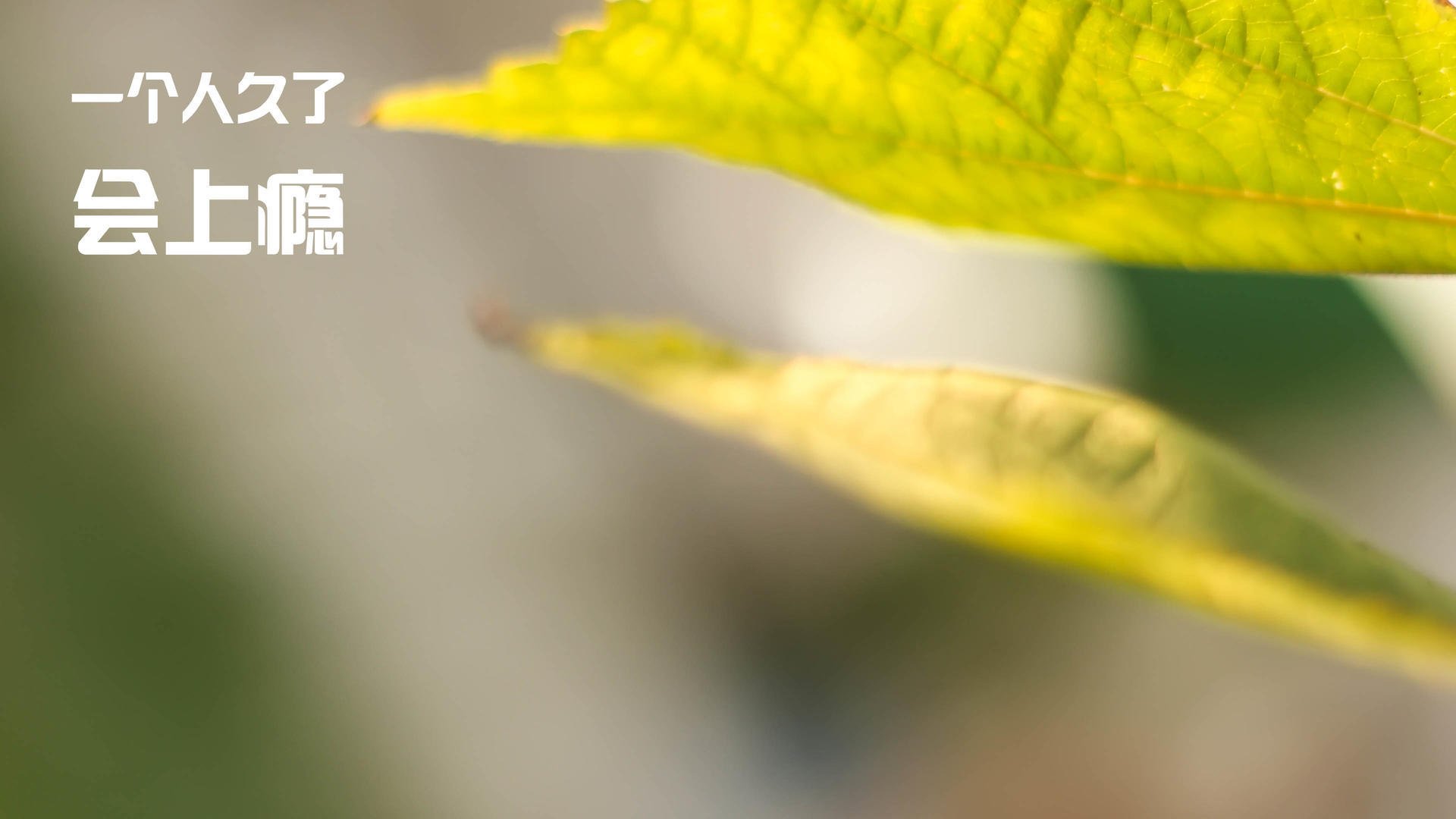 热火计划在客场进行球迷答谢仪式,热火主场