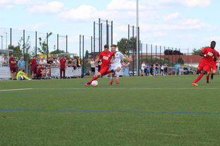 开云网页版登录入口-特色足球运动场设计结合智慧城市理念，实现多功能利用，趣味足球场设计