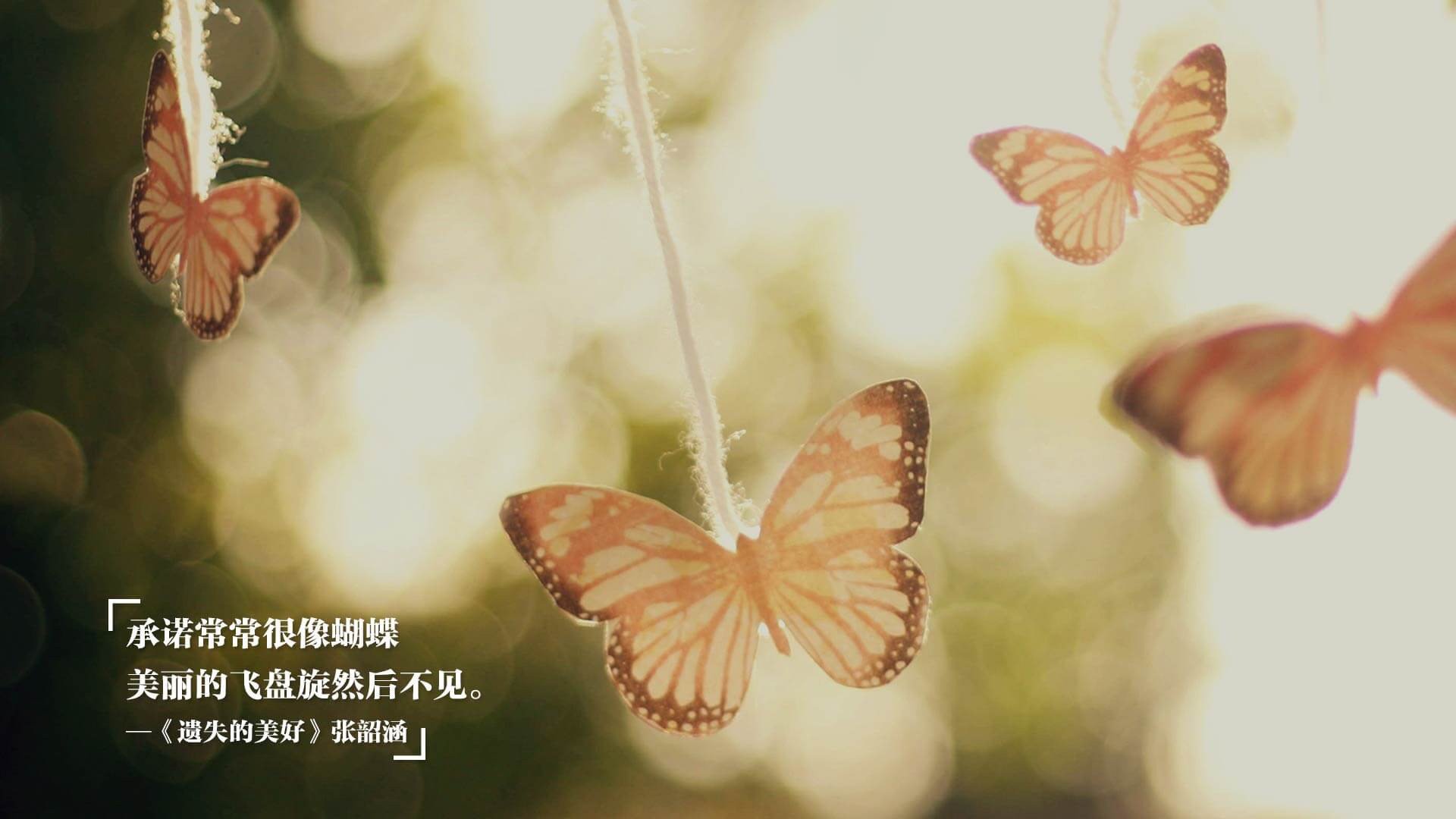 王楚钦回应球迷问题称心态最重要,王楚钦访谈