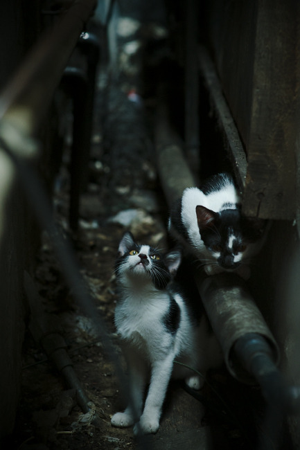 kaiyun登录入口-球员伤退引发替补新机会，球员受伤了还有工资吗