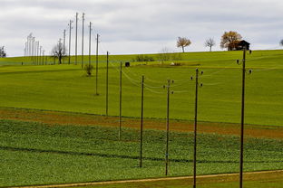 开云中国大陆-球员体能负荷评估工具上线助力教练科学制定训练计划，体育负荷强度