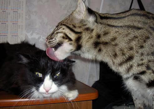 约翰·恩多耶-布鲁阿尔刷新个人最佳纪录,约翰多恩的布道词