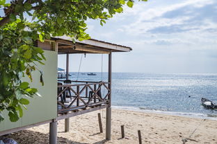 开云·Kaiyun网页版-绿色场馆覆盖智能环保系统，推动全球体育绿色低碳行动，绿色场馆建设