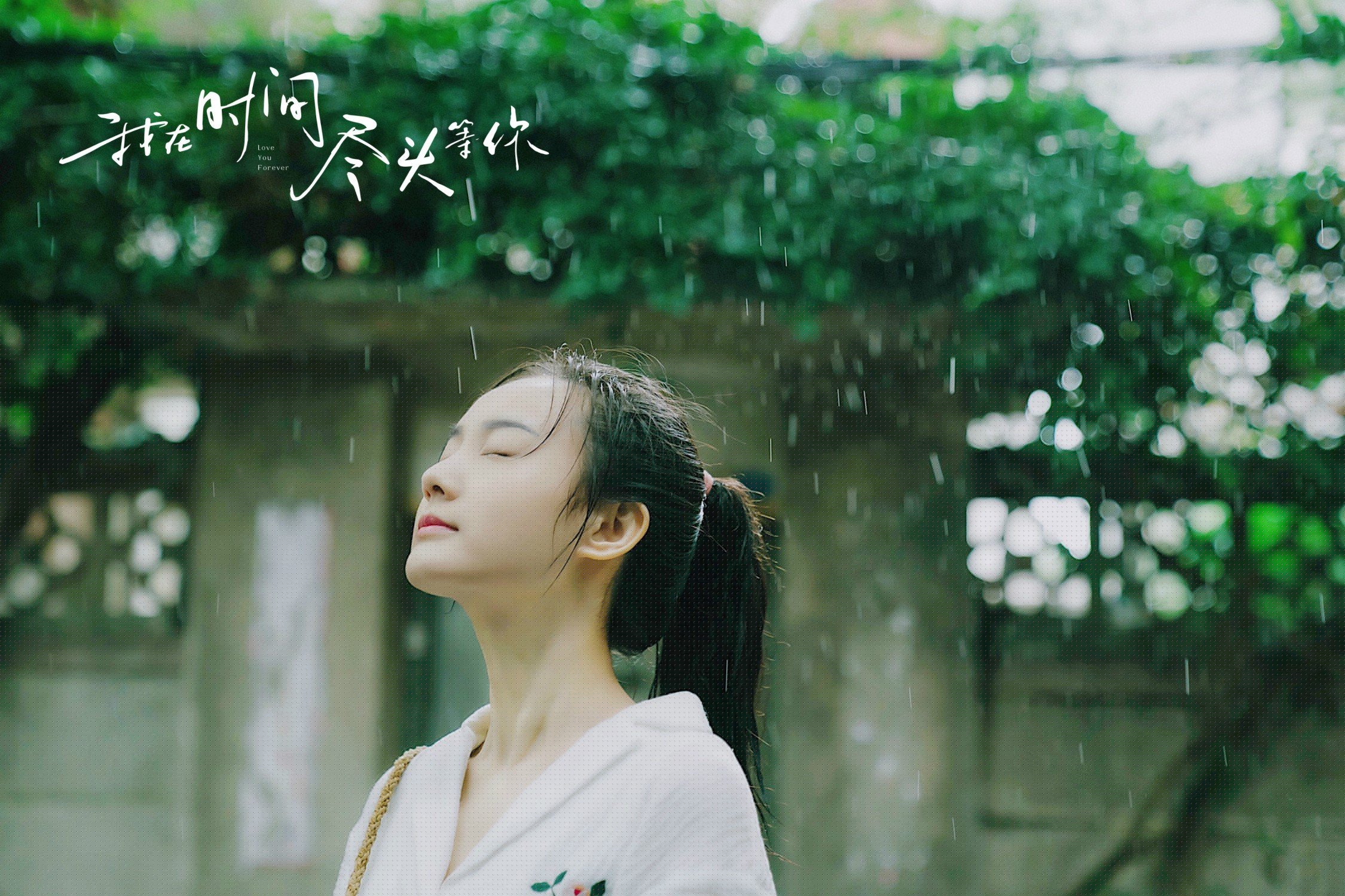 美洲杯激情夜:明星们的巅峰对决!,美洲杯视频回顾