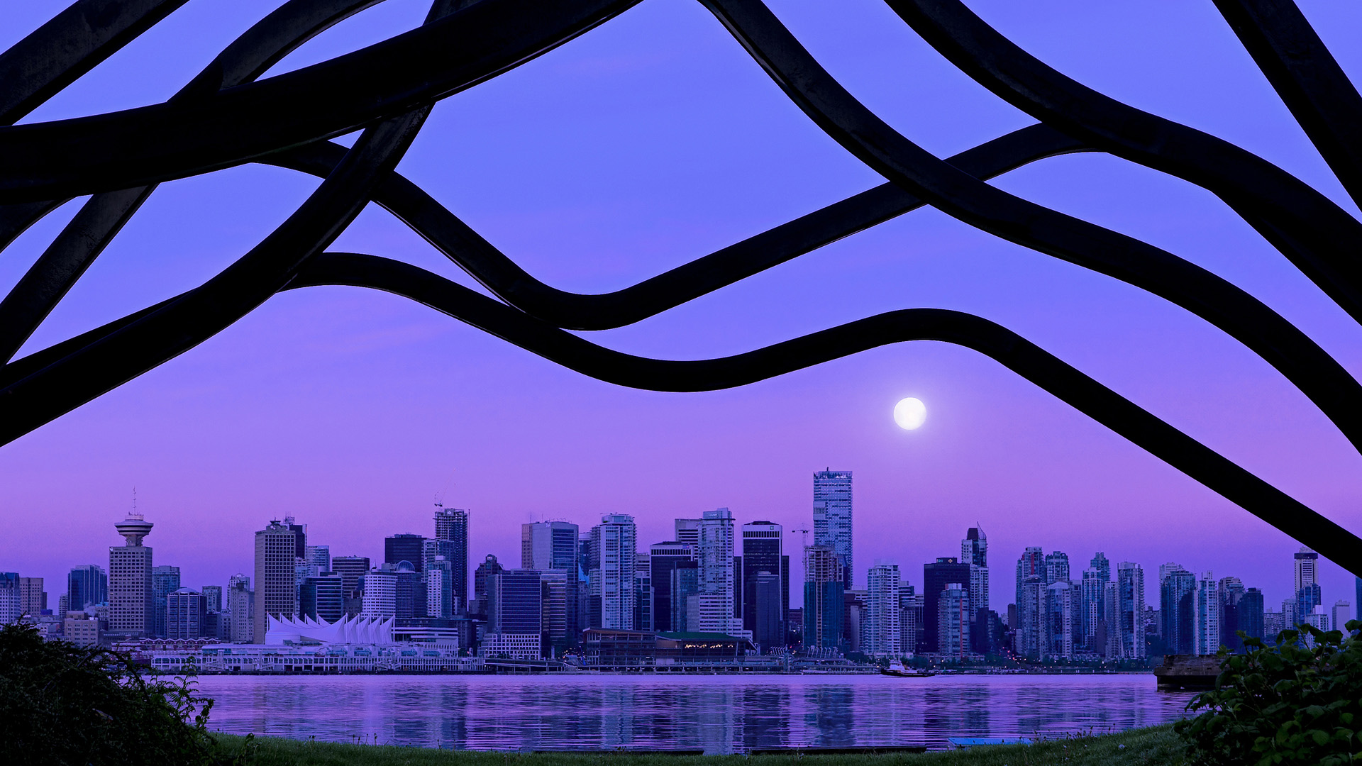 职业联赛制定球员行为规范手册引导健康发展,职业球员的定义