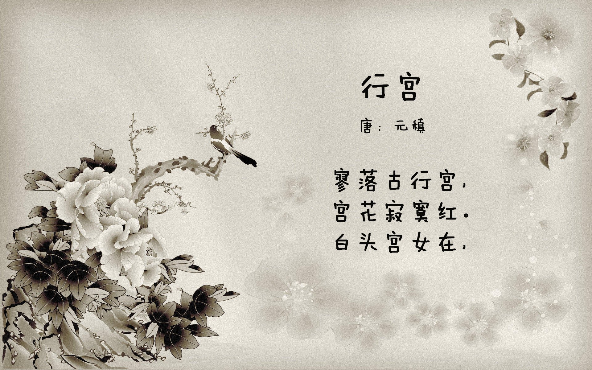 苏炳添获得体坛风云人物年度突破奖,苏炳添领衔