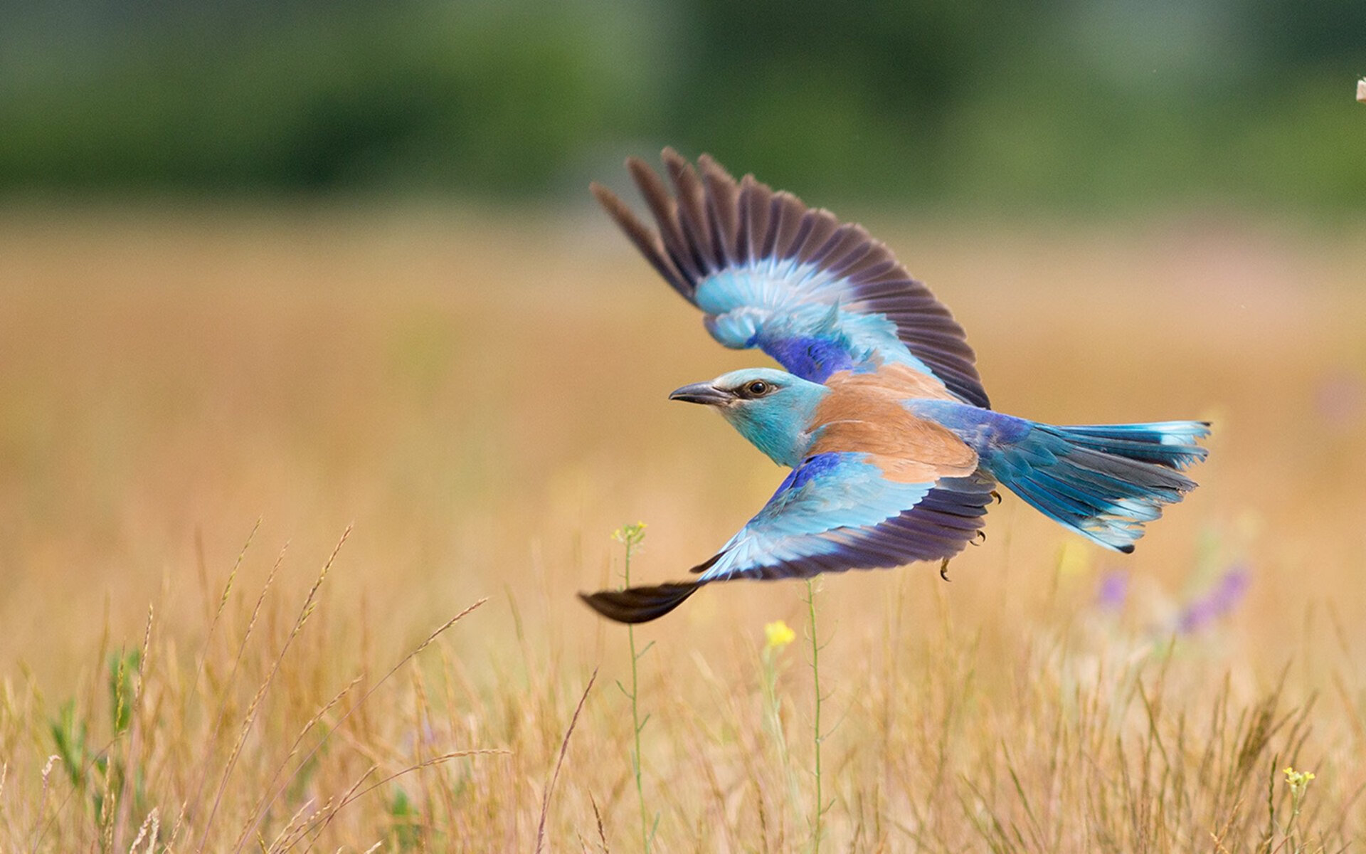 Kaiyun官方登录入口-英超终极冲刺：激情澎湃，精彩不止！，英超精华集锦2021