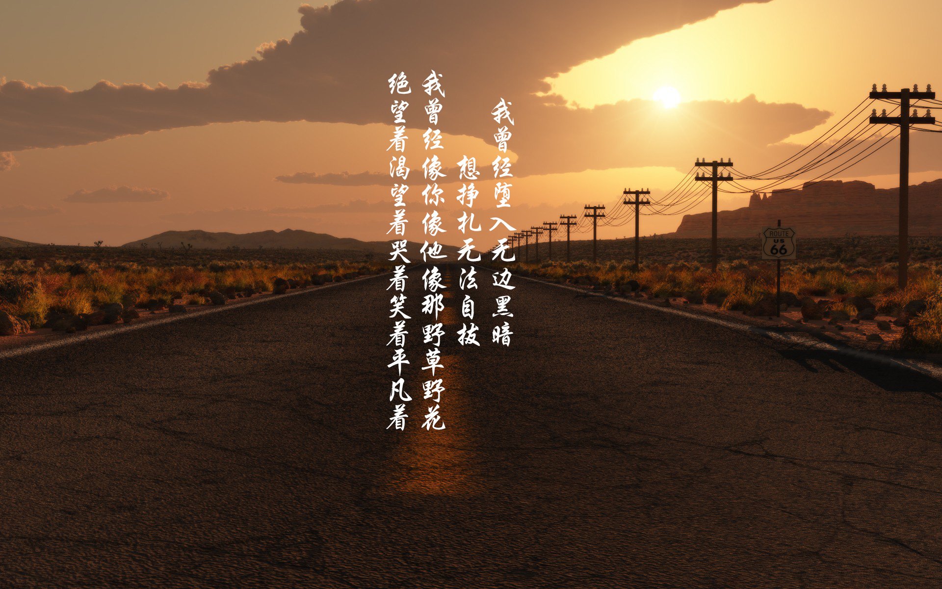 萨默·麦金托什技术完美诠释蝶泳魅力,麦金托什游泳