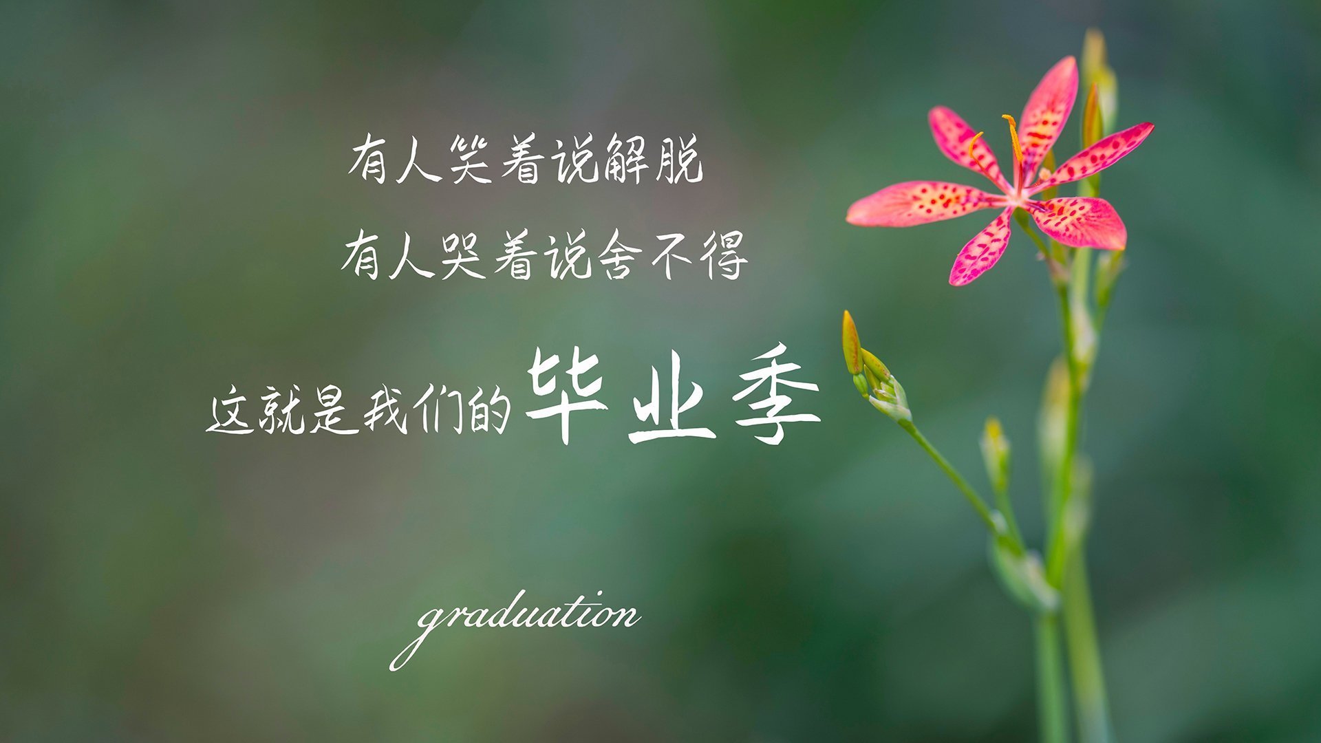 西甲豪门争霸：胜利就在瞬间触手可及，西甲豪门球队