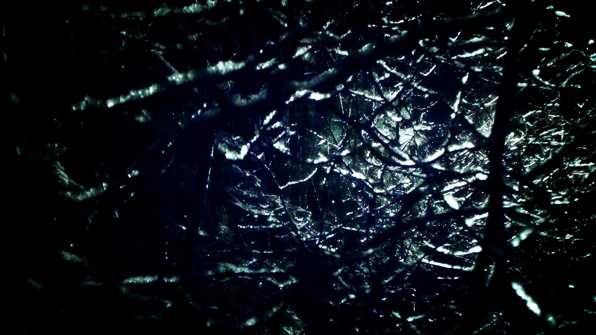 贾瓦迪技术与体能并重 赢得尊重，贾亚瓦德纳