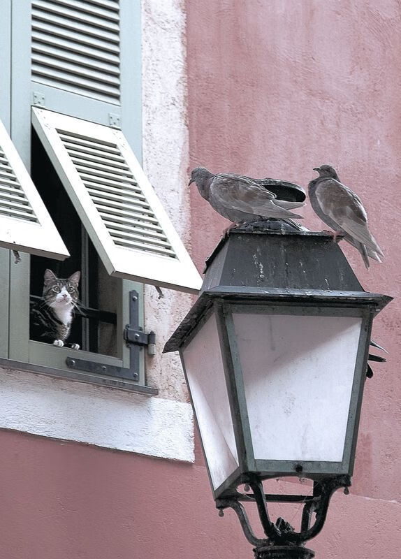 足球学校与职业俱乐部深度合作，足球俱乐部与学校合作收费