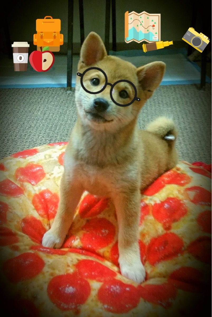 跳水难度升级摩纳哥勇于挑战，摩洛哥跳水