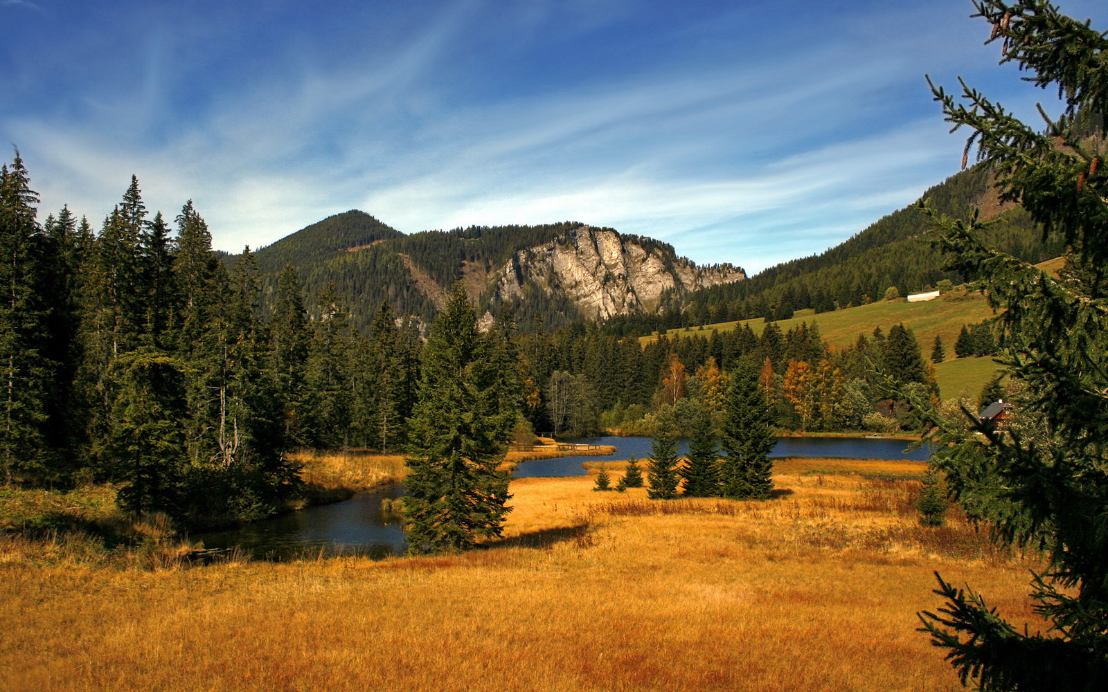 中超8月颁奖 蓉城独揽主帅锋霸双奖，中超颁奖嘉宾